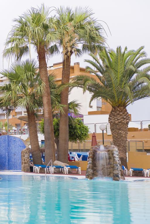 רוקאוטס דה מר Apartamentos Fenix Beach מראה חיצוני תמונה